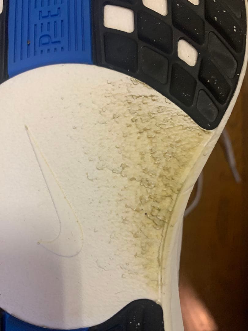 【最終値下済】NIKE ナイキ ペガサスプラス 29cm