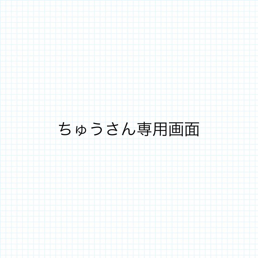 ちゅうさん専用130品物とおまけ