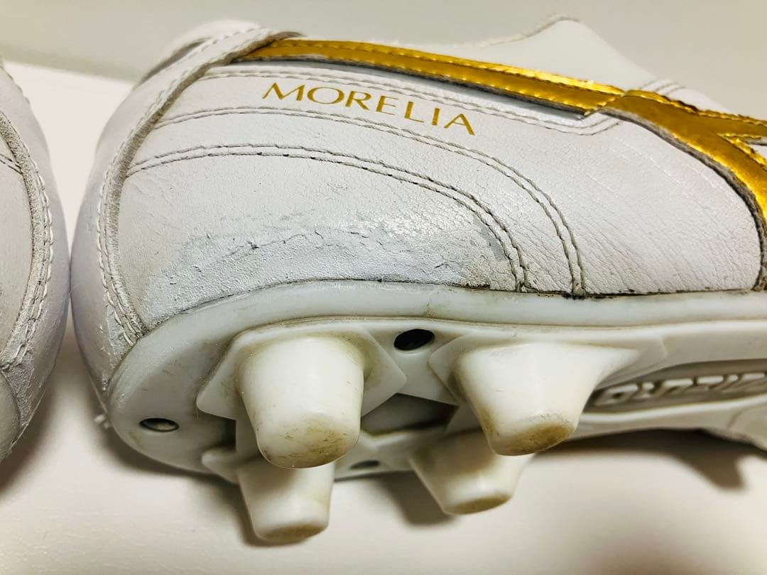 【大幅値下げ】モレリアⅡ 26cm 希少カラー