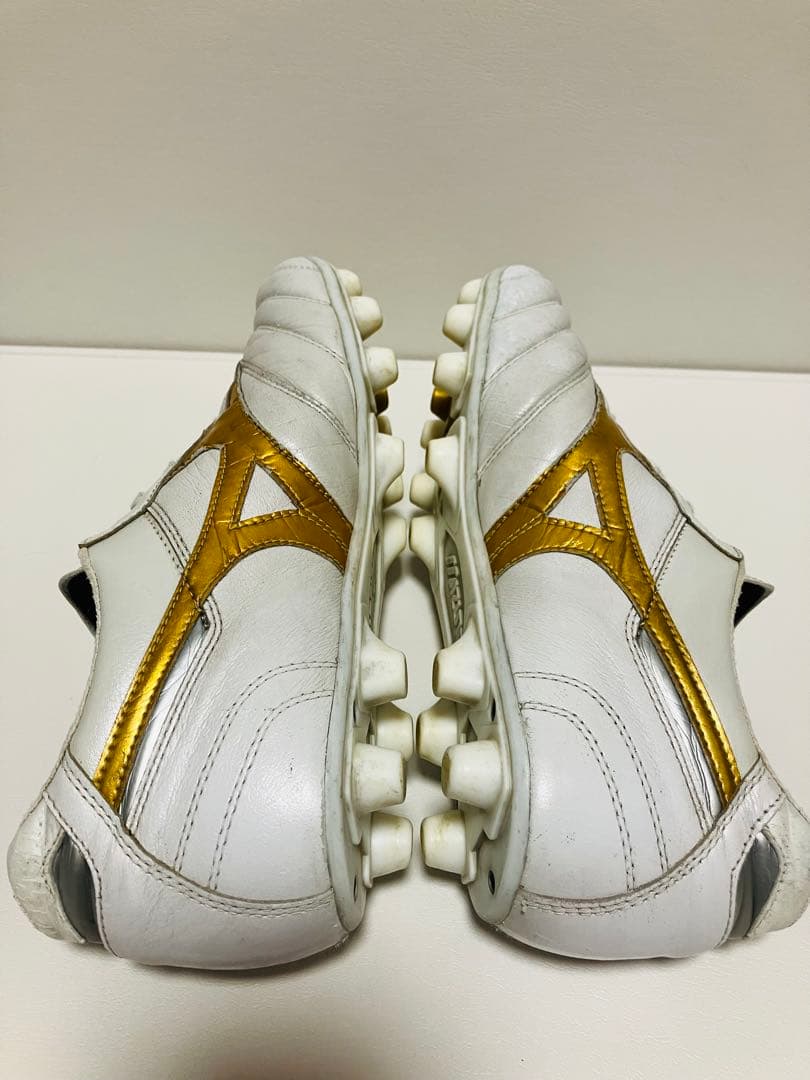 【大幅値下げ】モレリアⅡ 26cm 希少カラー