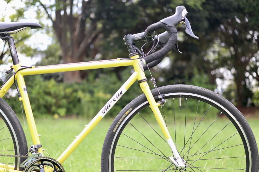 All-City Macho Man オールシティ 49 ブルーラグ サーリー