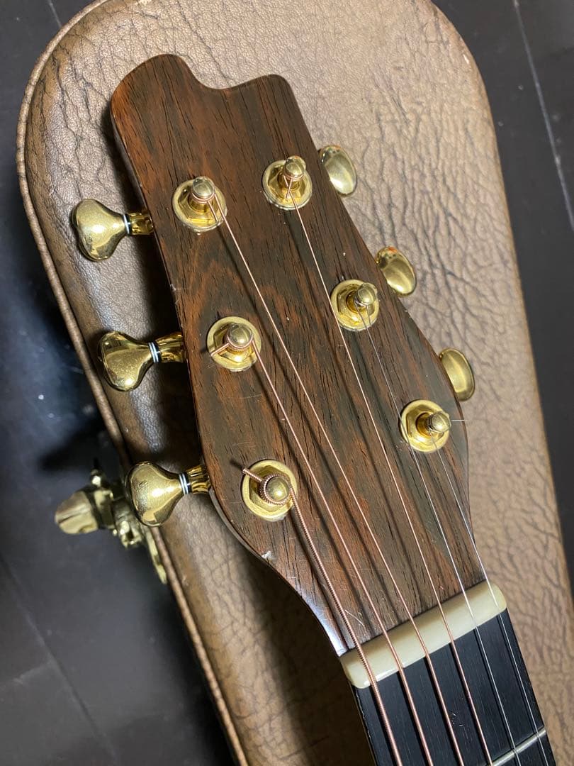 アコースティックギター　w.carter