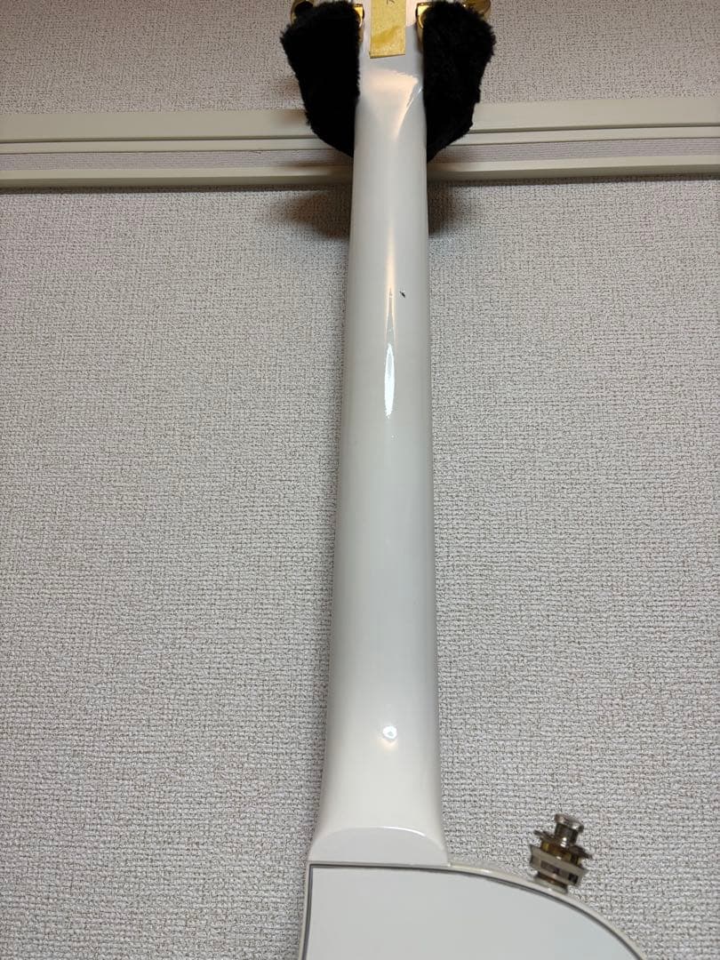 coolz ZLC-10 レスポール カスタム フジゲン 2014年製 演奏動画