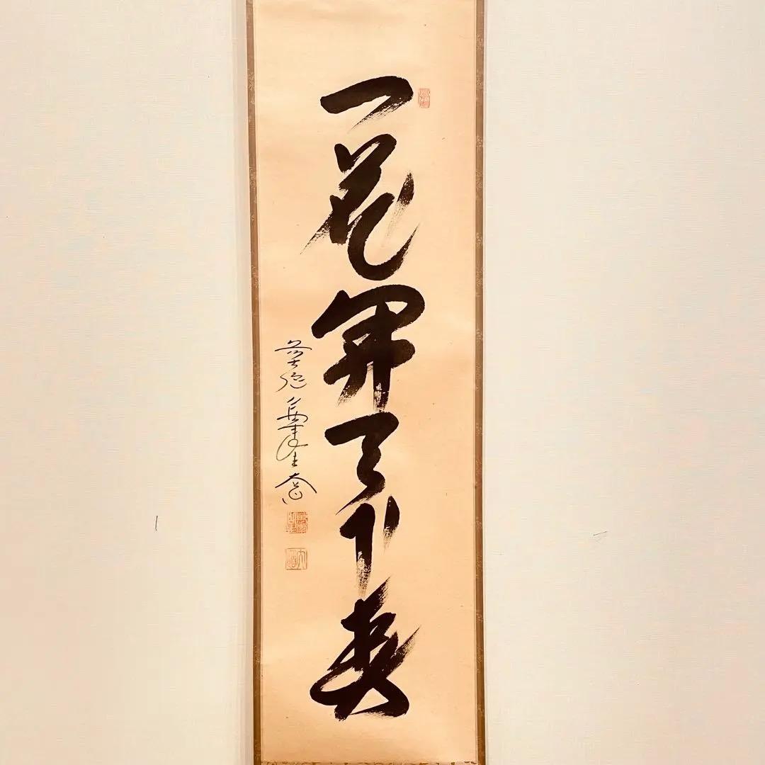 3960 西垣大道 「一花開天下春」 共箱 肉筆 紙本 書 掛軸 大徳寺 禅語