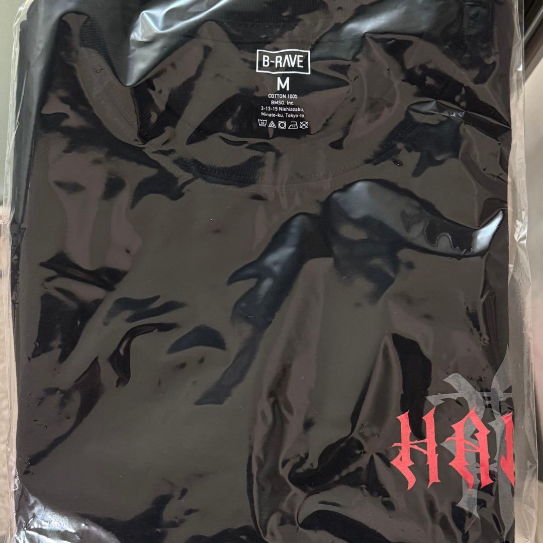 【即日発送】HANA ロゴTシャツ Mサイズ