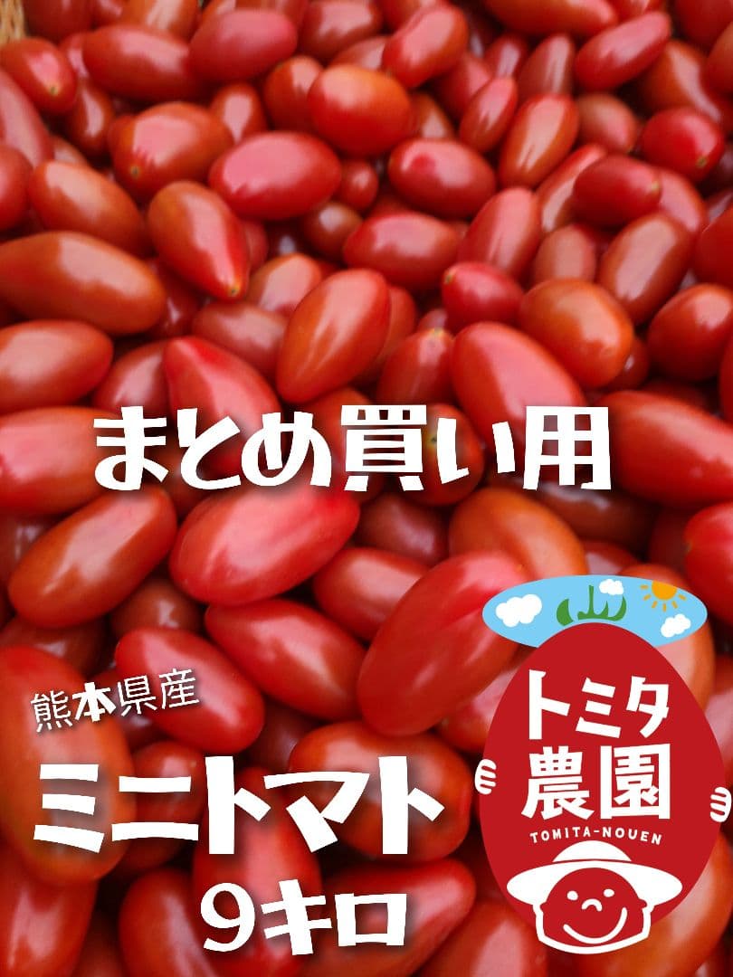 熊本県産ミニトマト「茜とまと９キロ」