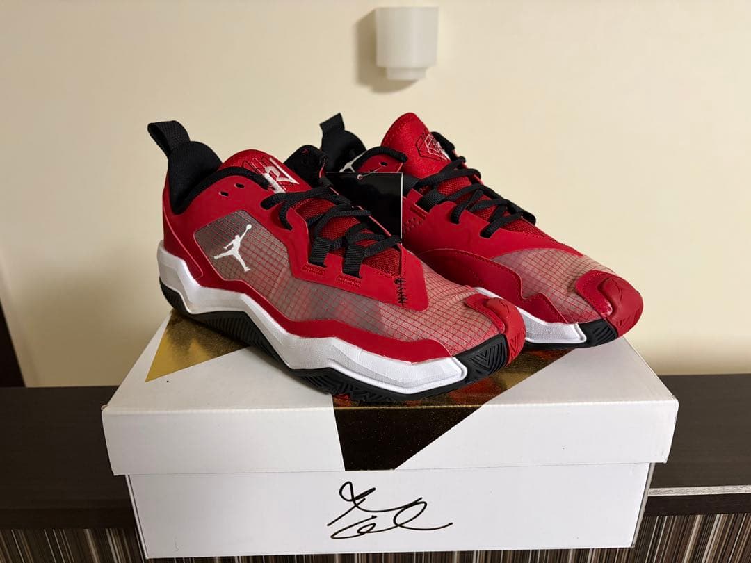 【未使用】AIR JORDAN RETRO MAX LOW G 25.5cm