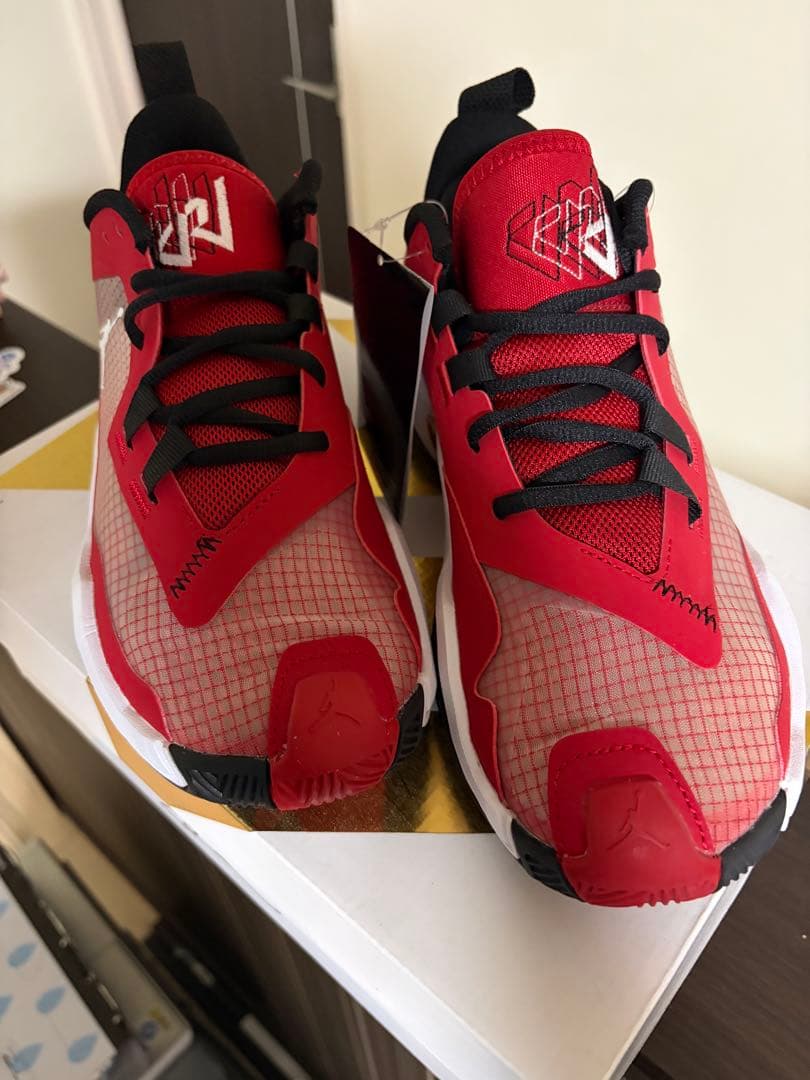 【未使用】AIR JORDAN RETRO MAX LOW G 25.5cm