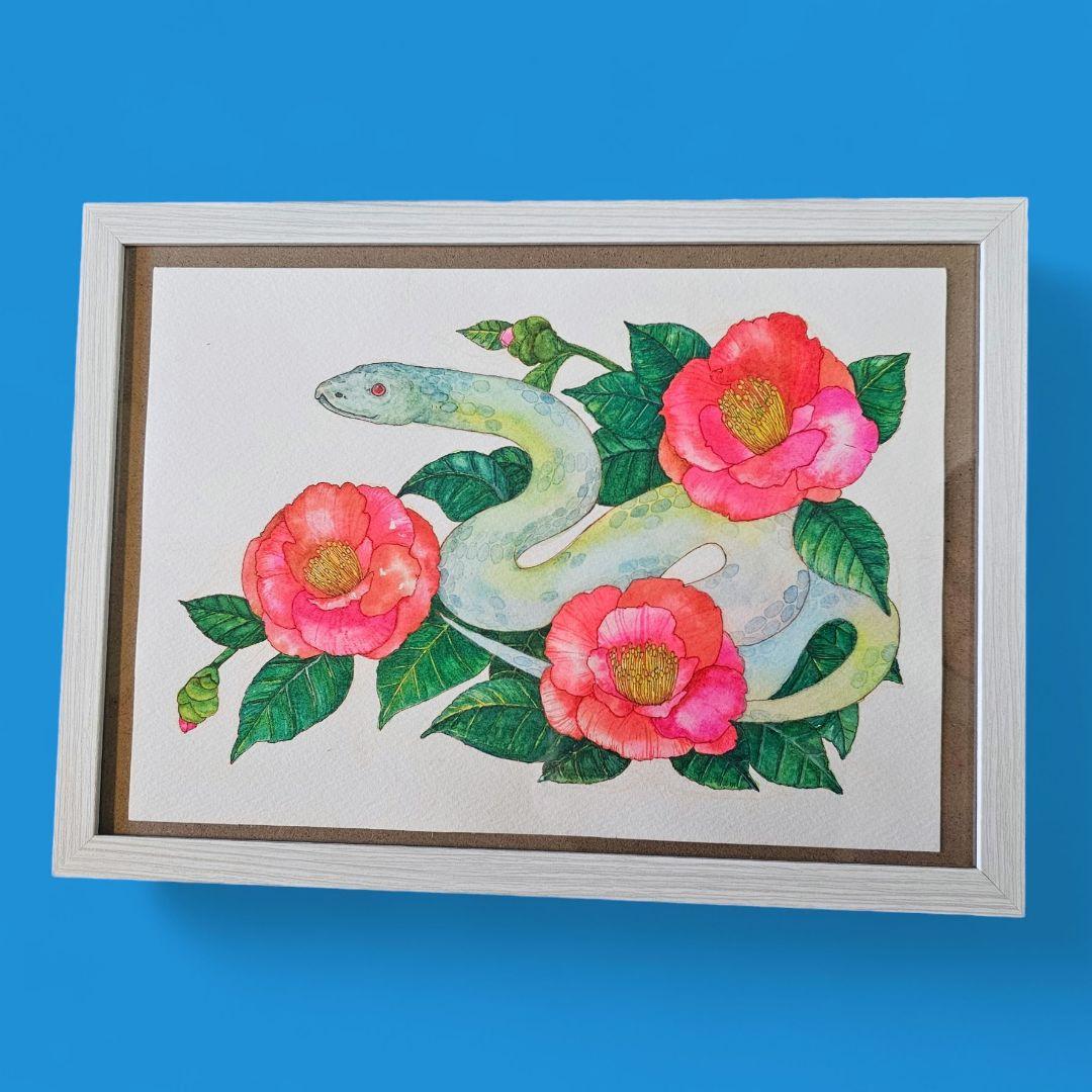 【原画販売】水彩画 白蛇と椿　額無し
