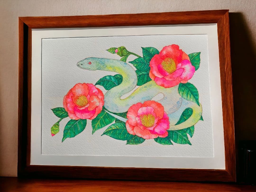 【原画販売】水彩画 白蛇と椿　額無し