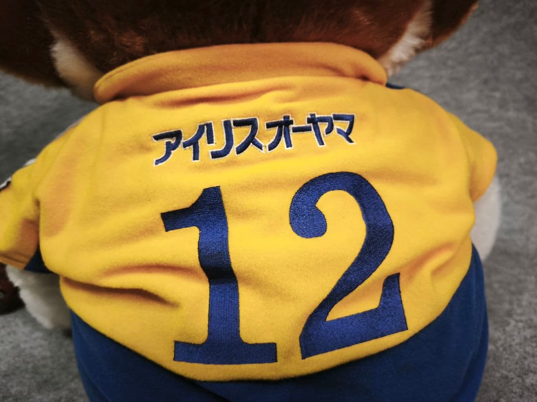 ベガルタ仙台 ベガッ太くん 特大ぬい 座高約55CM 背番号12 汚れ感あり