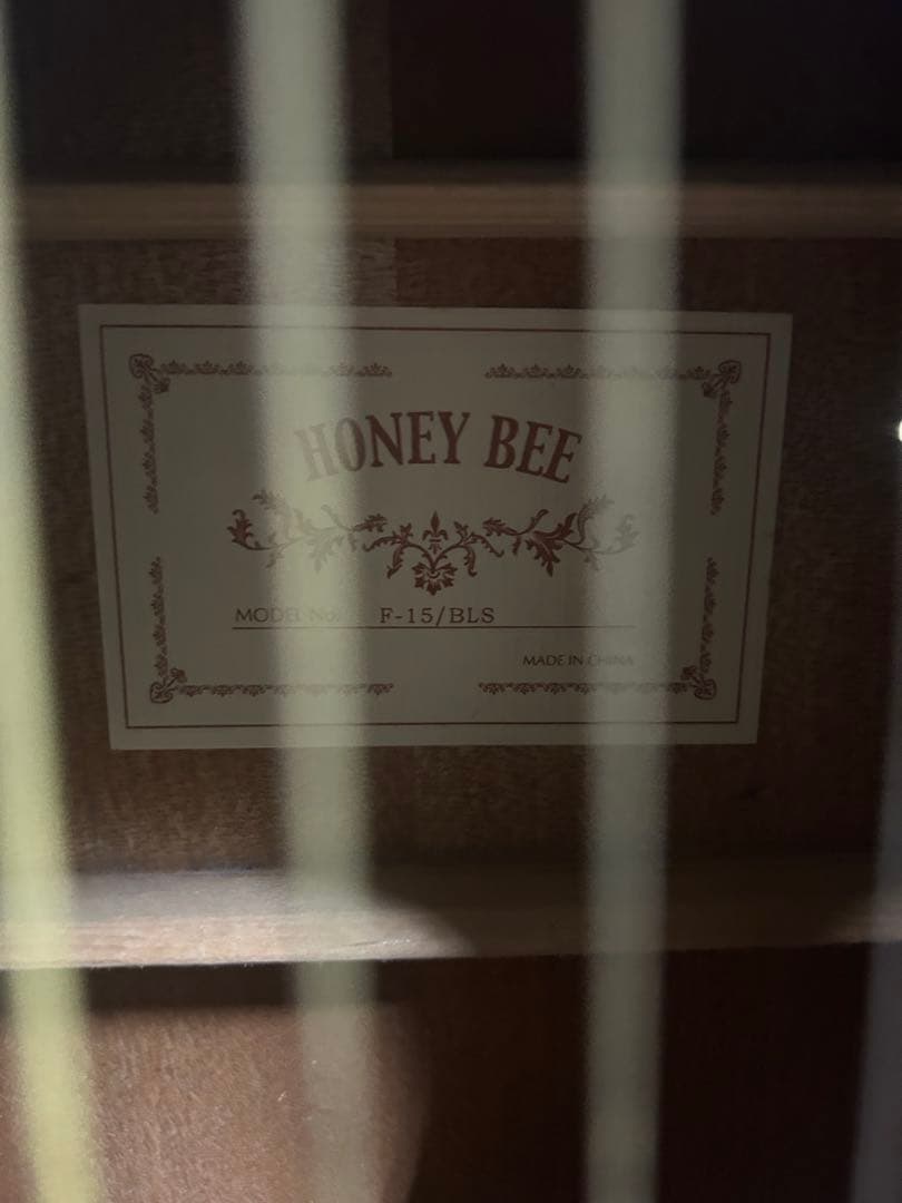 HONEY BEE アコースティックギター P-15/BLS
