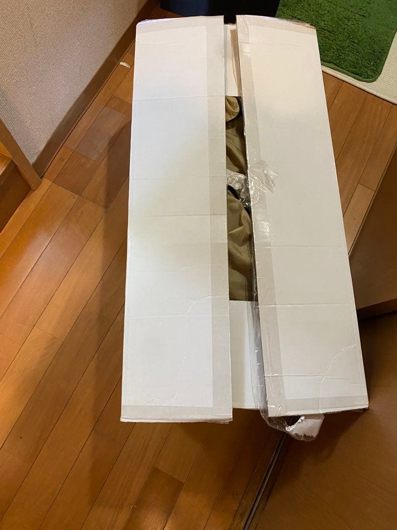 サバティカルモーニンググローリーTC