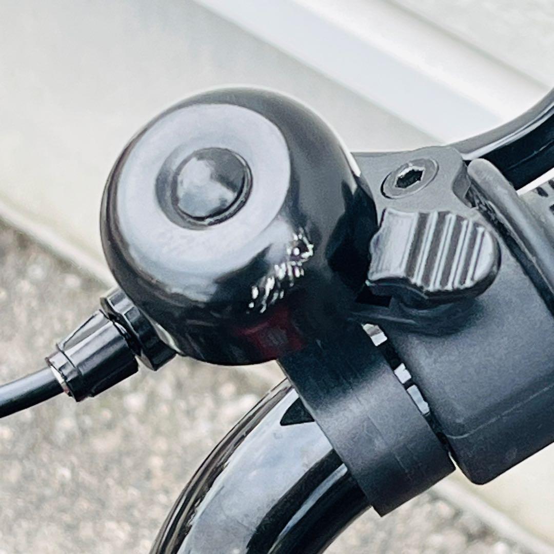 【引き取り限定】アイデス　d-bike マスタープラス　16インチ　レッド