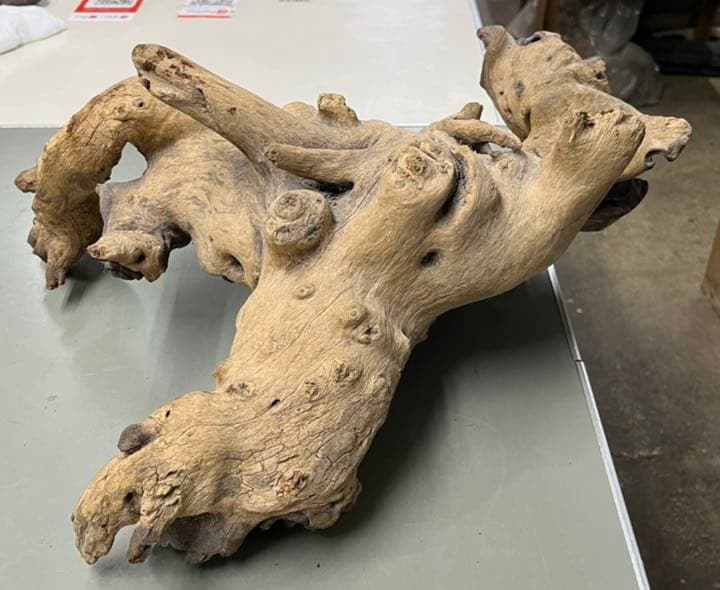 サバンナウッド　水槽インテリア　トカゲ　陸ガメ　爬虫類インテリアに　流木　古木