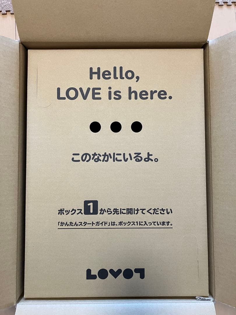 LOVOTラボット2.0本体&ネスト(ちゃ)、2023年12月購入、稼働約７か月