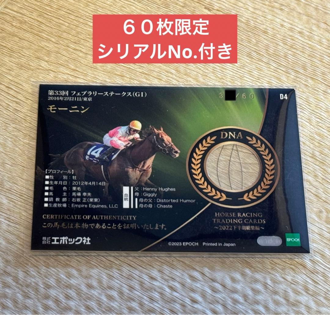 ホースレーシング トレーディングカード 2022下半期 DNAカード モーニン