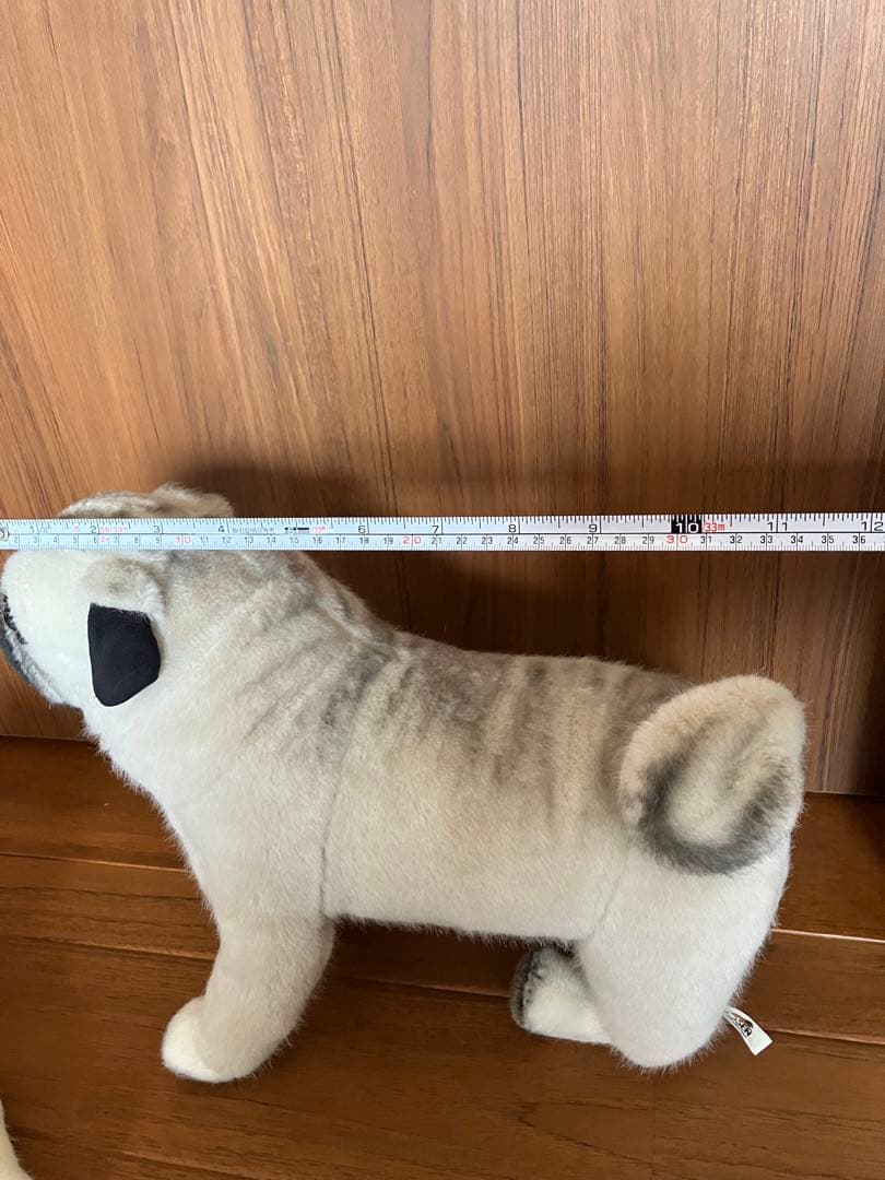 ケーセン パク　2体