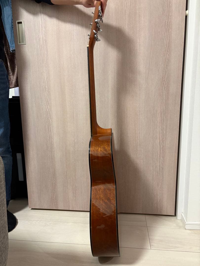 Morris F-25 アコースティックギター