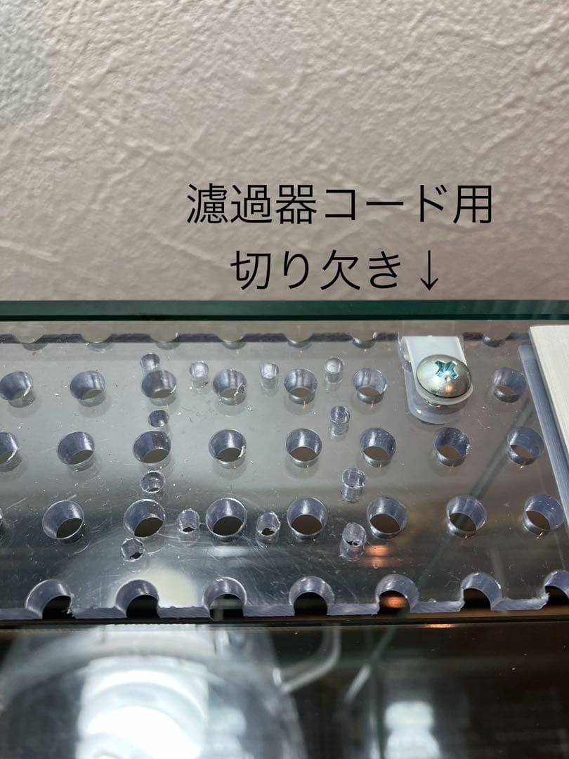 アクアサイダーのイモリウム水槽 サイズ40cm