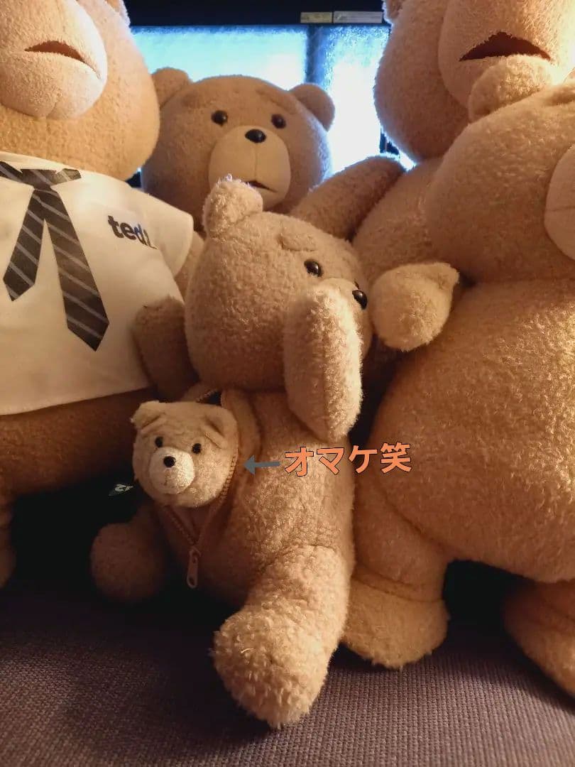 テッド　しゃべるぬいぐるみ