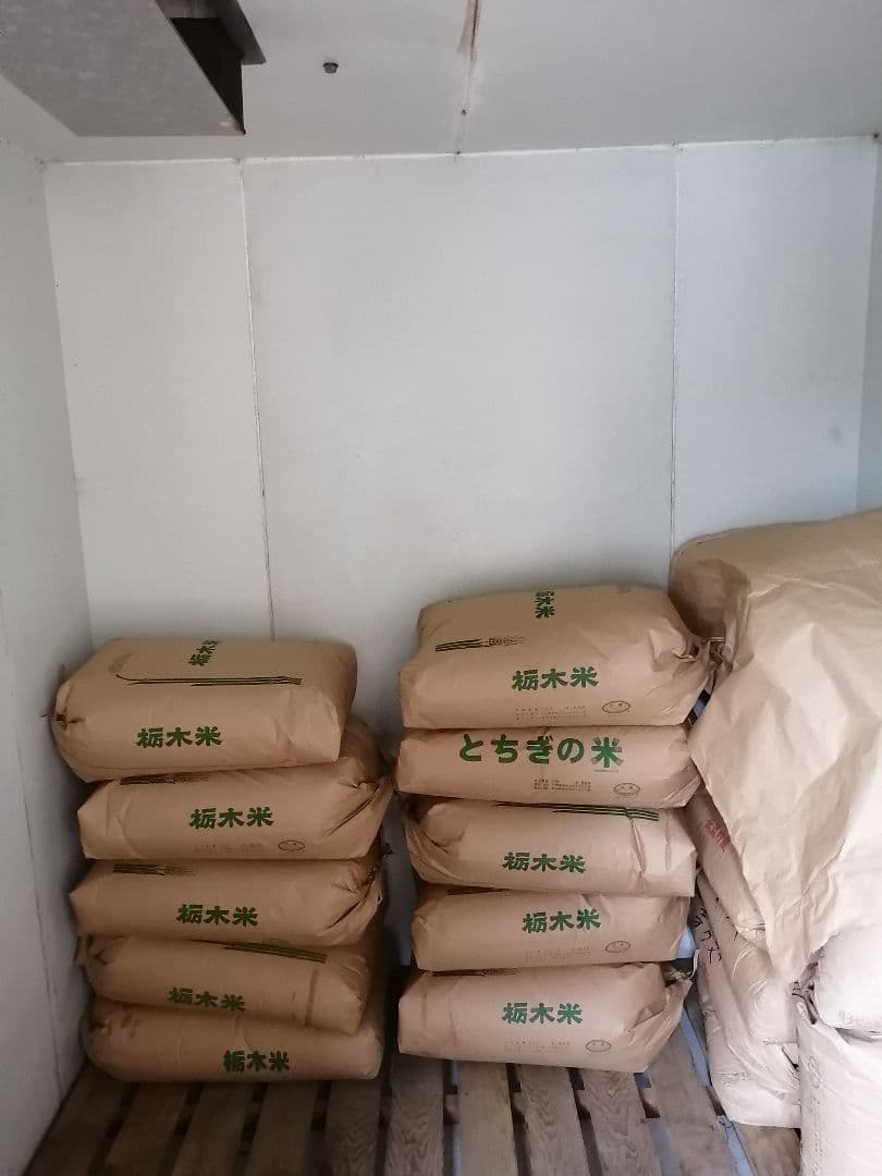 令和6年栃木県産コシヒカリ　白米10kg