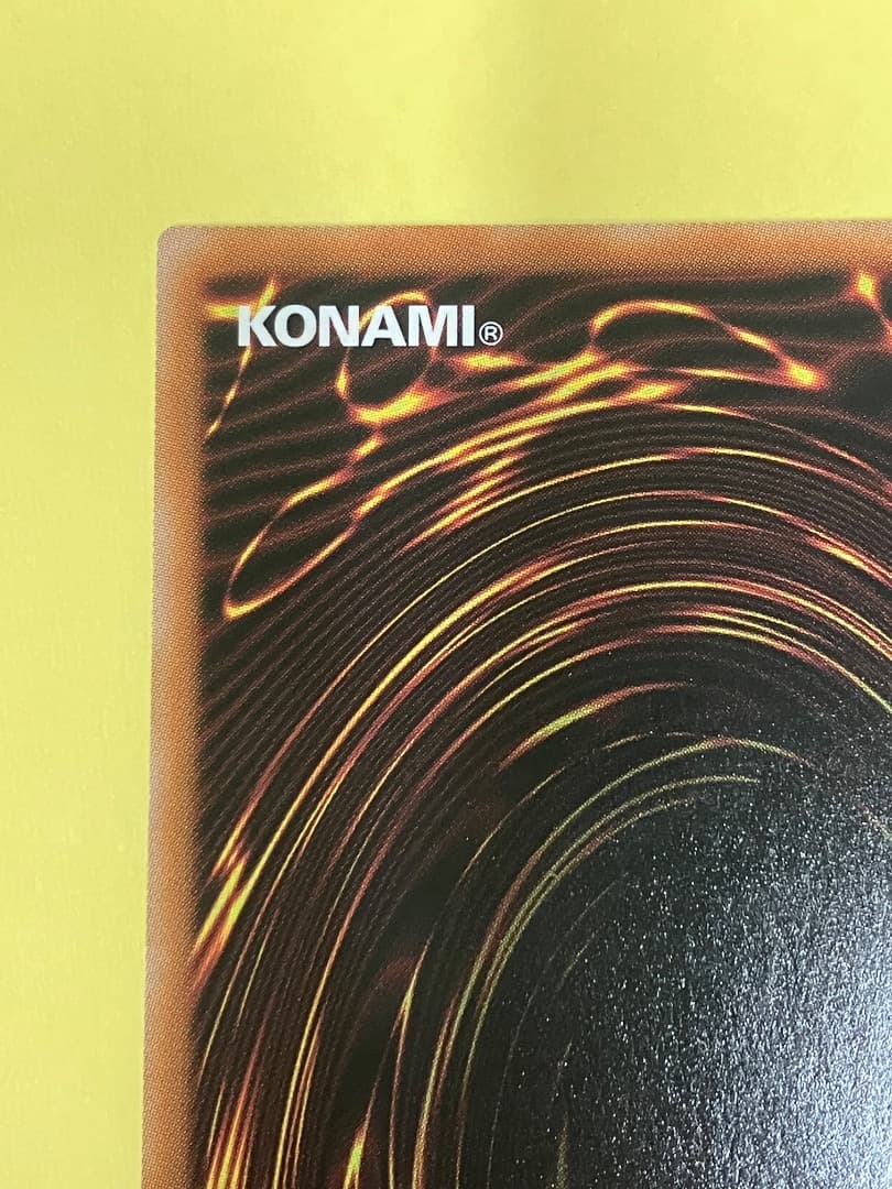 ホワイトラビット　25th