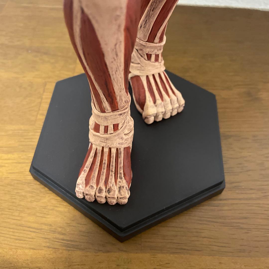 POP UP PARADE 進撃の巨人 アルミン 超大型巨人Ver. フィギュア