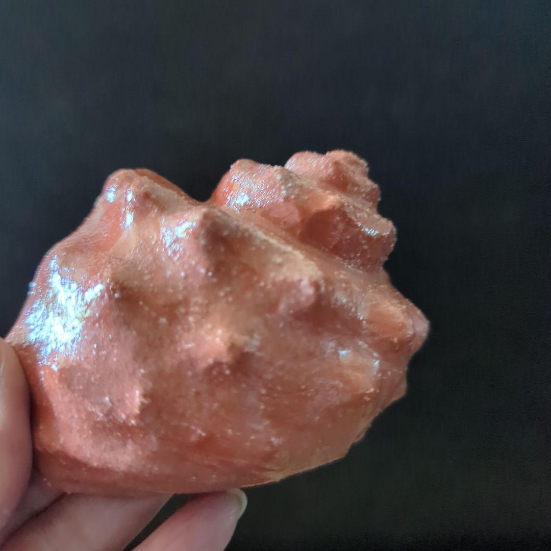 骨董茶道具　京焼　清水焼　醍醐窯　島荷平作　茶懐石　楽焼　赤楽　さざえ蓋物珍味入