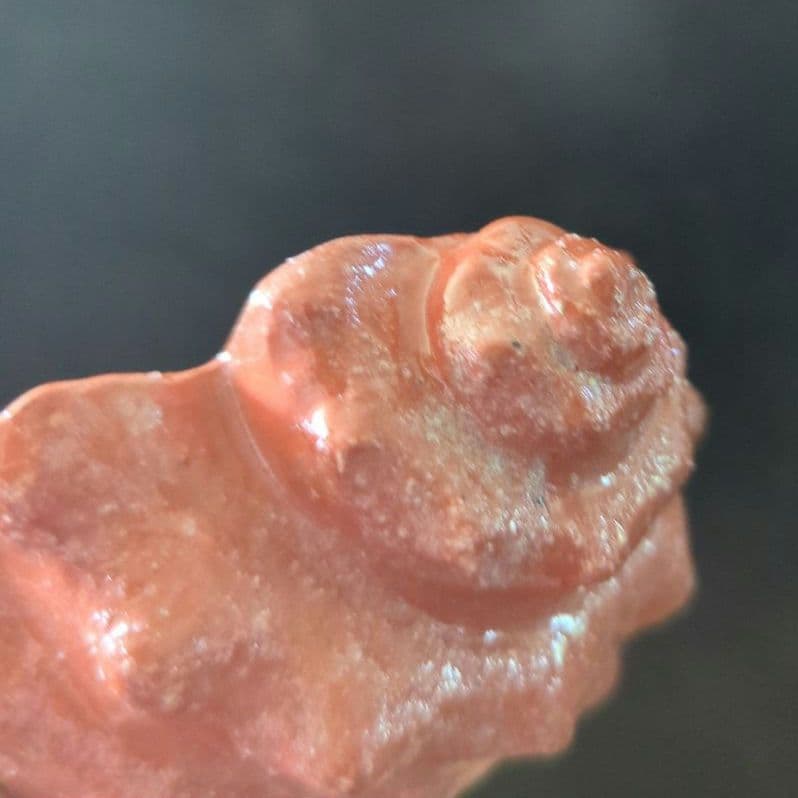 骨董茶道具　京焼　清水焼　醍醐窯　島荷平作　茶懐石　楽焼　赤楽　さざえ蓋物珍味入