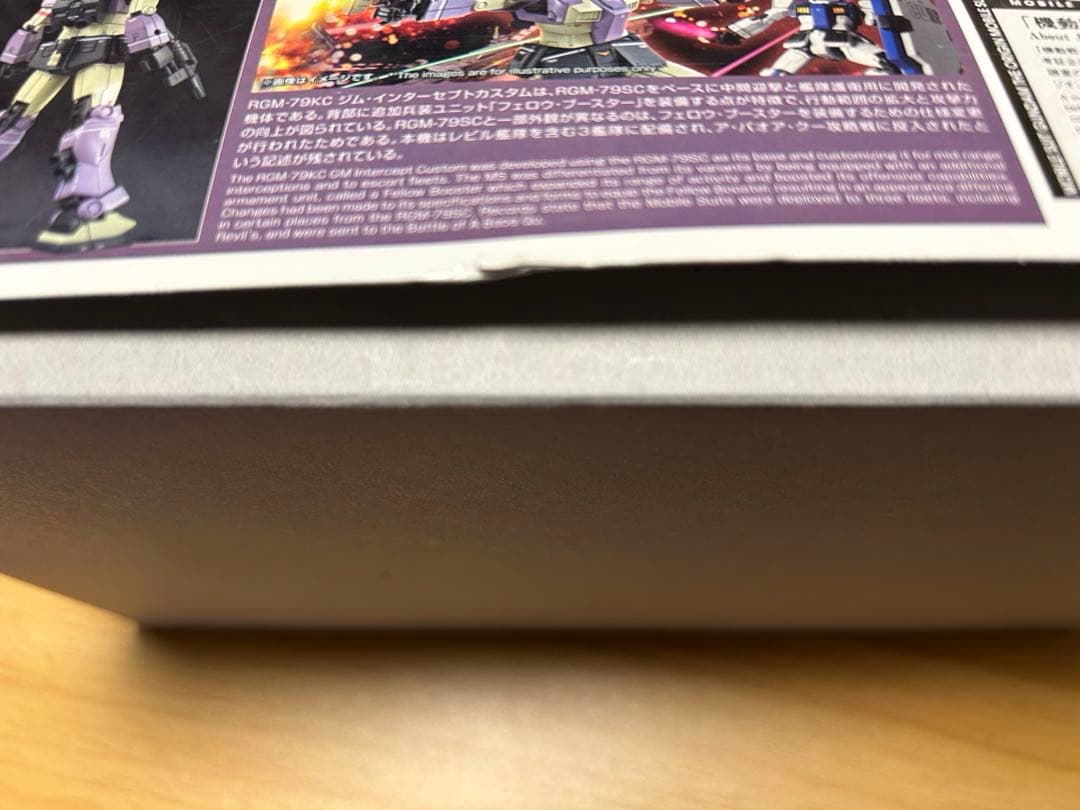 HG高機動型ザクⅡガイア/マッシュ専用機　HGジムインターセプトカスタム セット