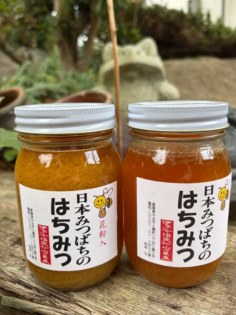 ハチミツ　日本蜜蜂のはちみつ　奥山の奥の蜂蜜結晶化進行中と花粉入り蜂蜜ほぼ結晶化