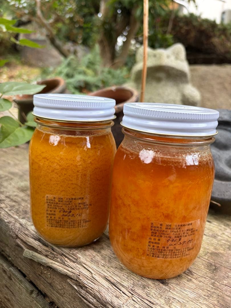 ハチミツ　日本蜜蜂のはちみつ　奥山の奥の蜂蜜結晶化進行中と花粉入り蜂蜜ほぼ結晶化