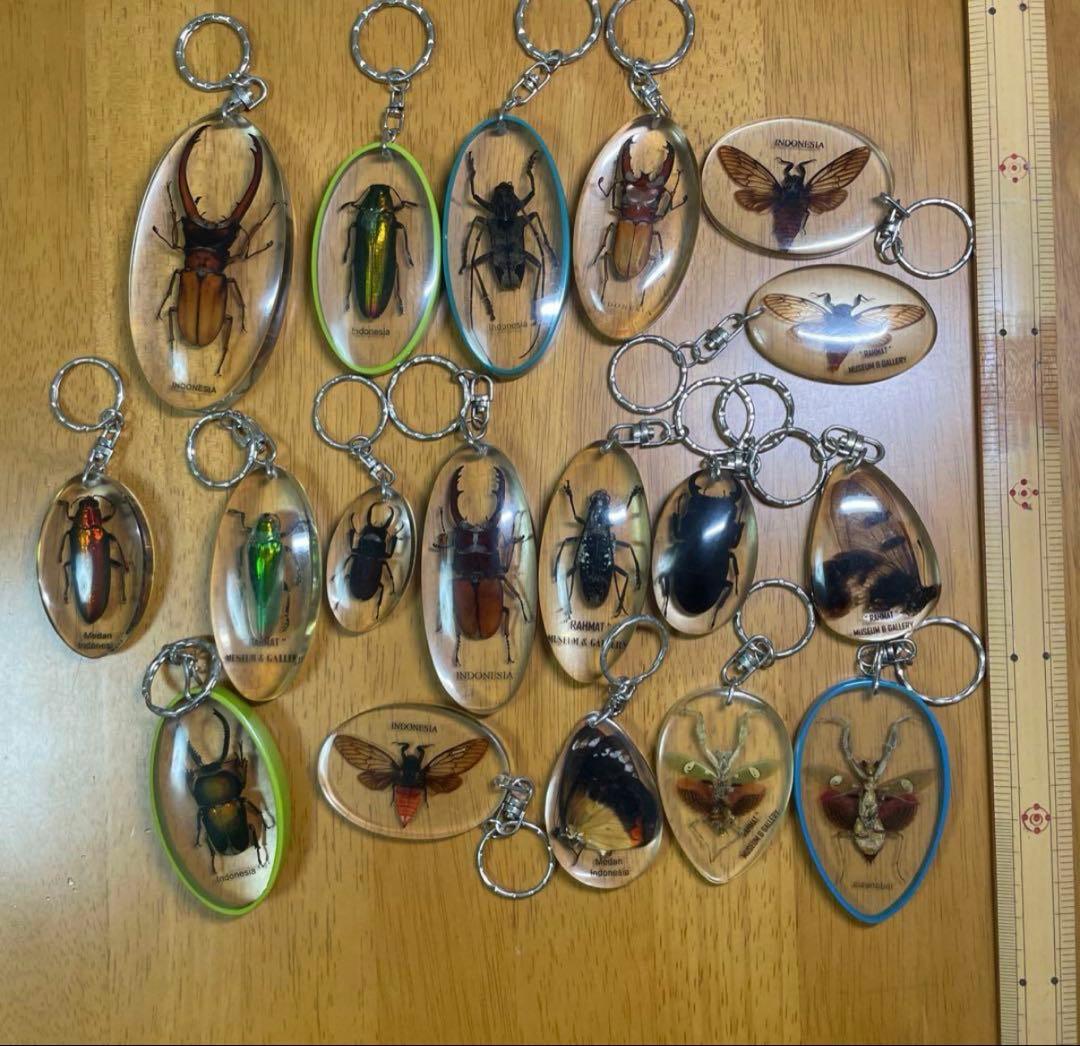 【さくらプロフ必見様】専用　　昆虫標本キーホルダー