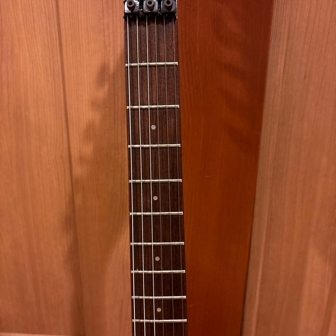 Aria Pro II Va480 ブラックパーツ仕様 アーム付 新品弦張替済