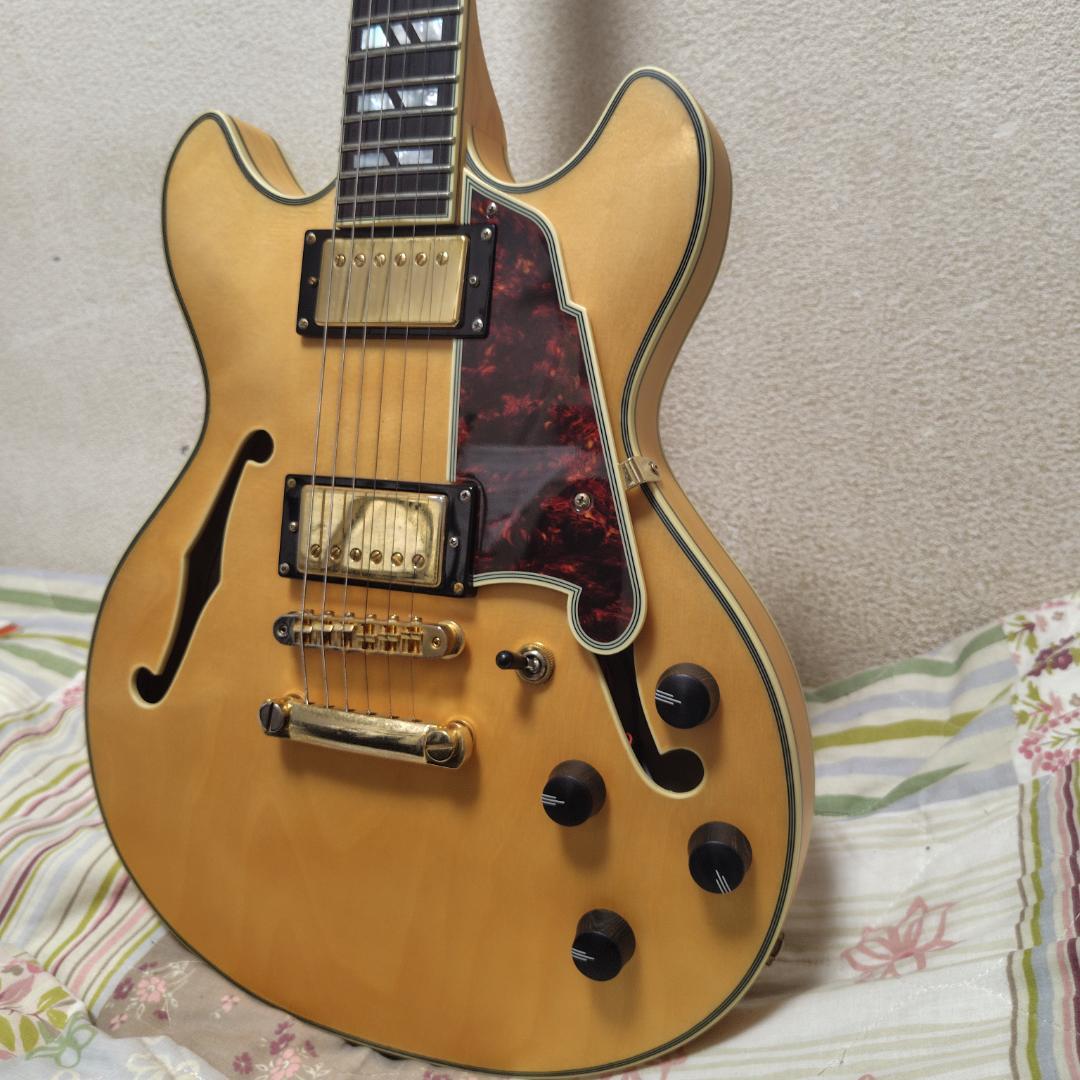 ［新品同様］D'Angelico Deluxe Mini DC