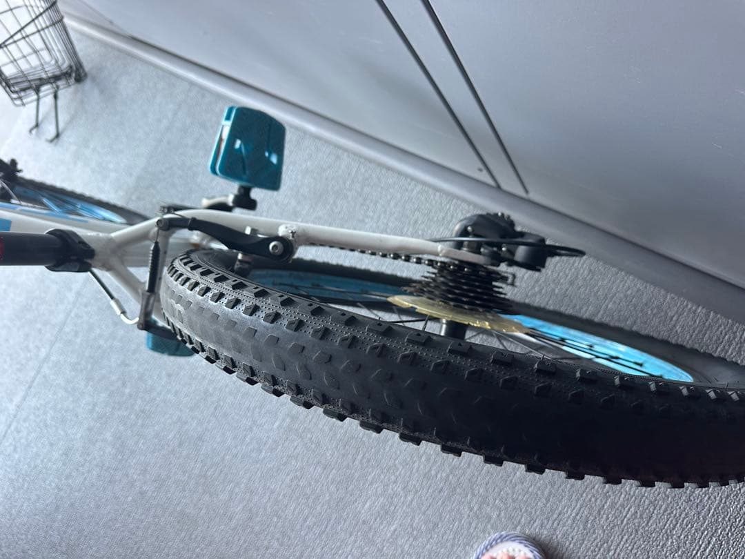 Trek Precaliber 20 7-speed 子供自転車