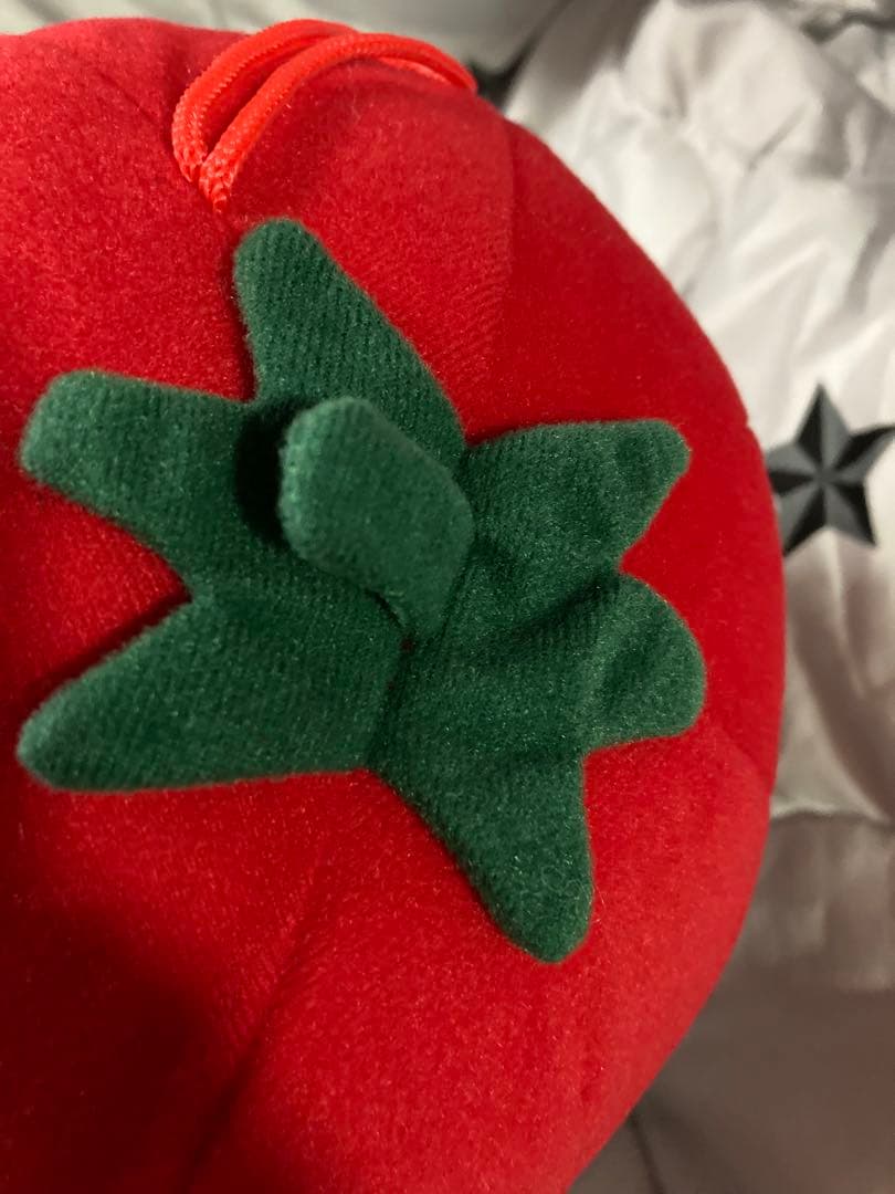 非売品 タキイ 種苗 マスコット ぬいぐるみ タキットくん 入手困難 激レア