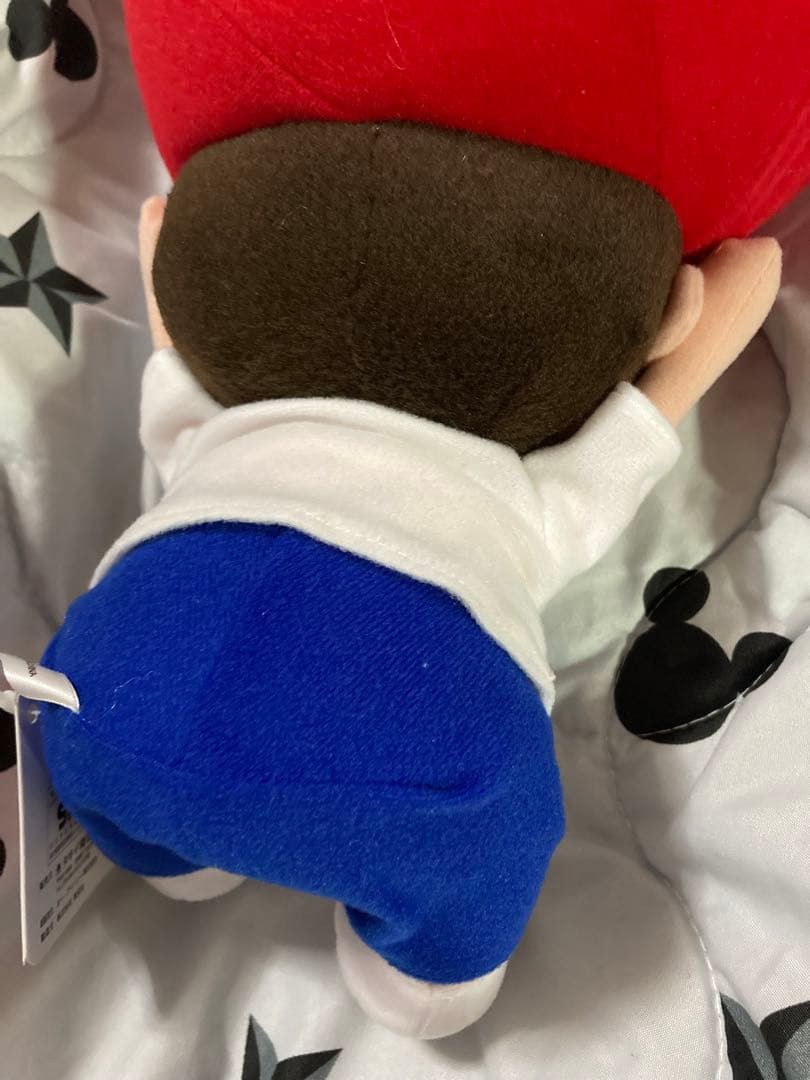 非売品 タキイ 種苗 マスコット ぬいぐるみ タキットくん 入手困難 激レア