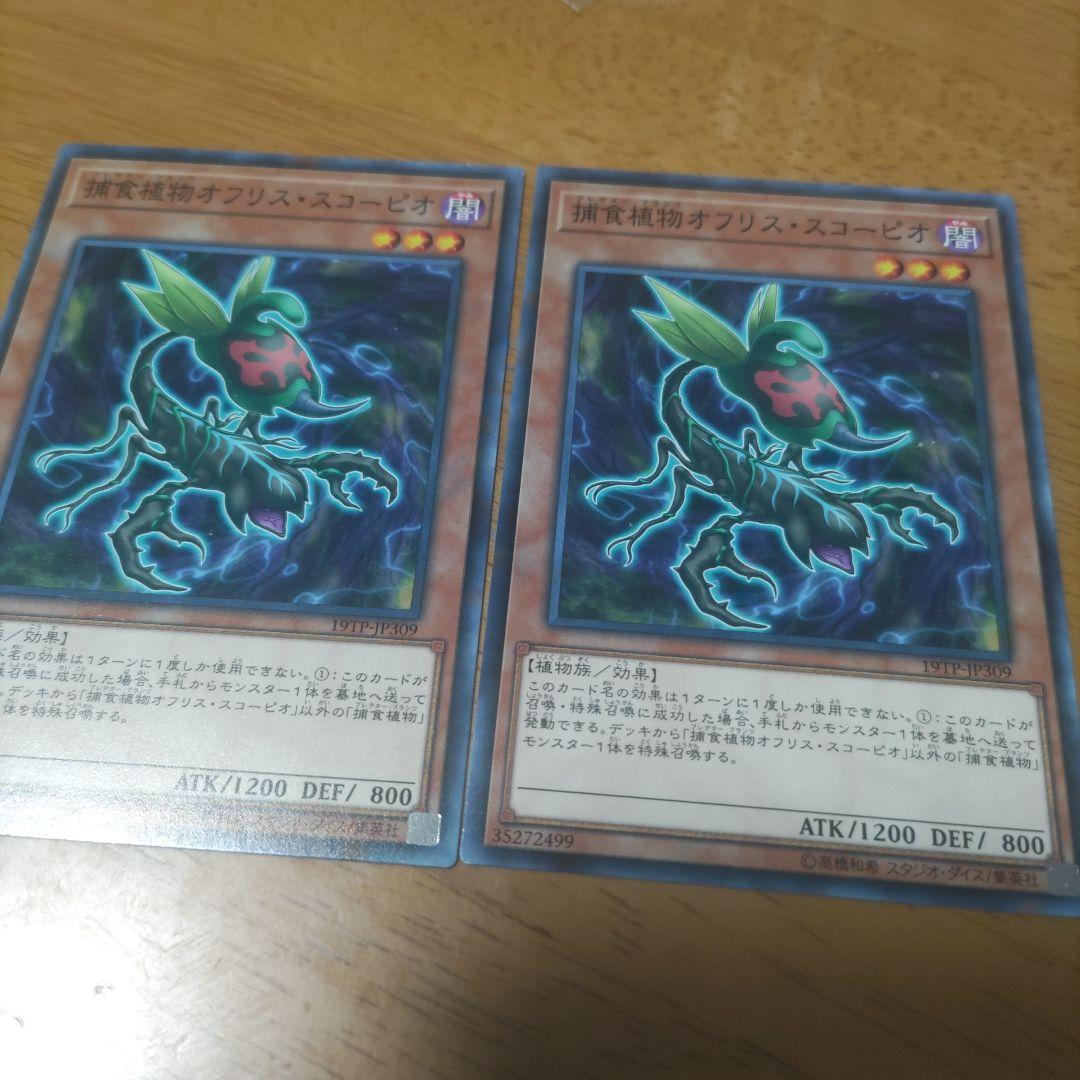 遊戯王 捕食植物オフリススコーピオ トーナメントパック