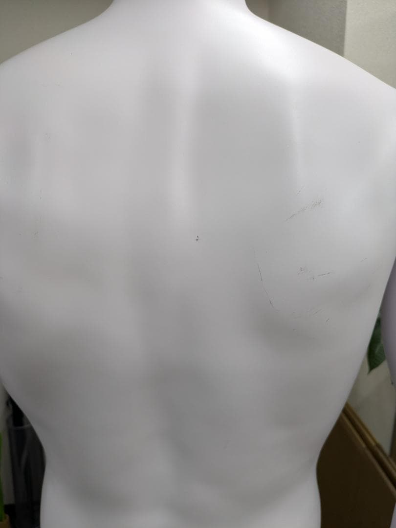 全身 マネキン メンズ マッチョタイプ ABS製185cm 男性 立ちポーズ