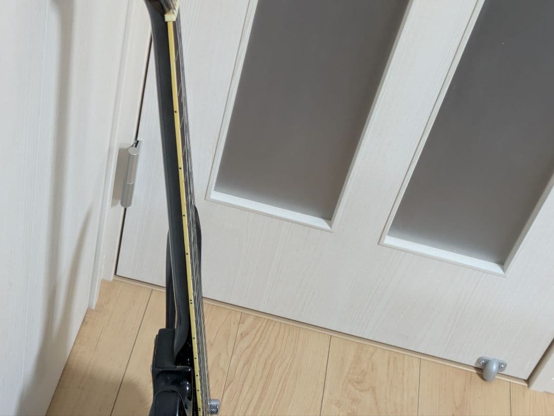 モッキンバード　黒　hide　ソフトケース付