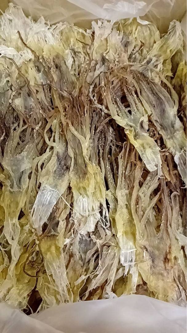 『復活！』前浜するめ足【2kg】