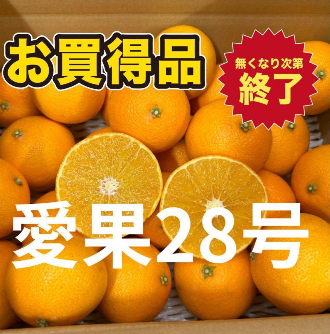 数量限定　愛媛県産　愛果28号まどんな5キロ（箱込み）　×2箱　農家直送