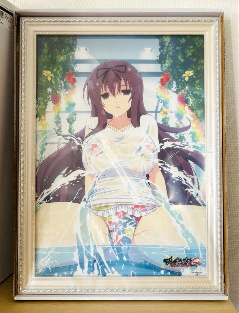 閃乱カグラ スプラッシュ くじコレ 特賞 ヴィヴィッドアートフレーム 34 紫