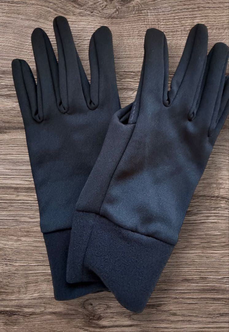 新品 DAKINE TITAN GORE-TEX グローブ CAR L