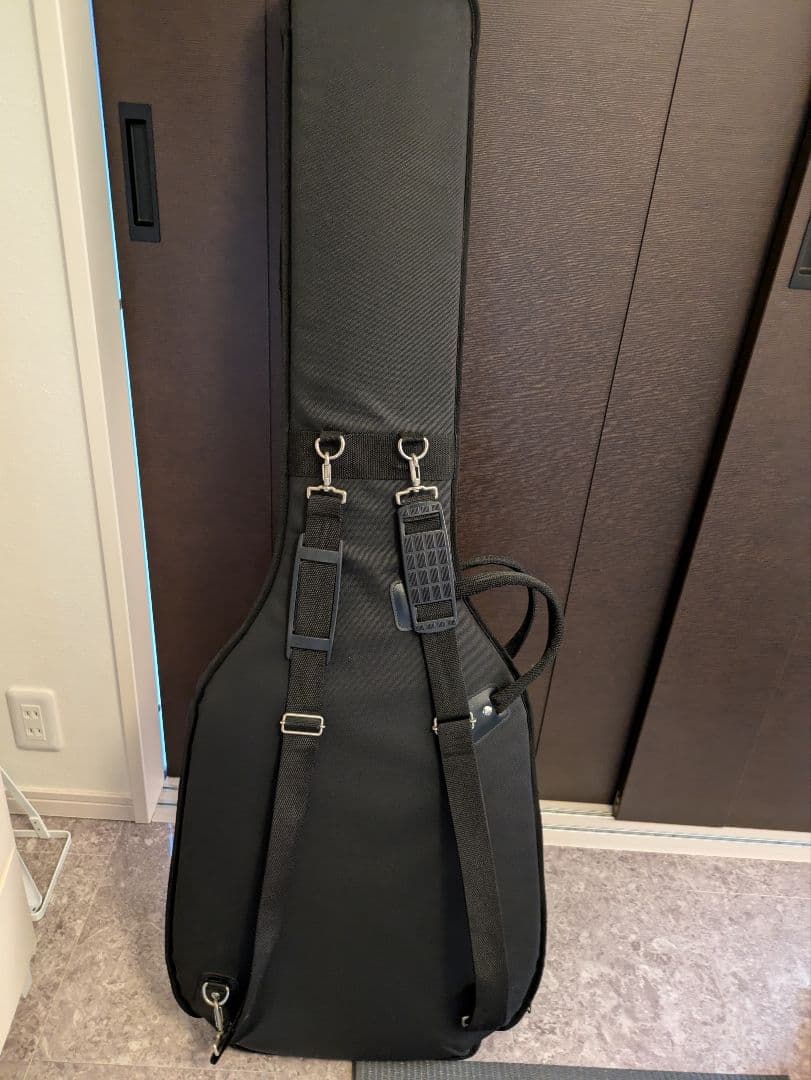 最終値下げ済　Moon ベース用　ギグケース