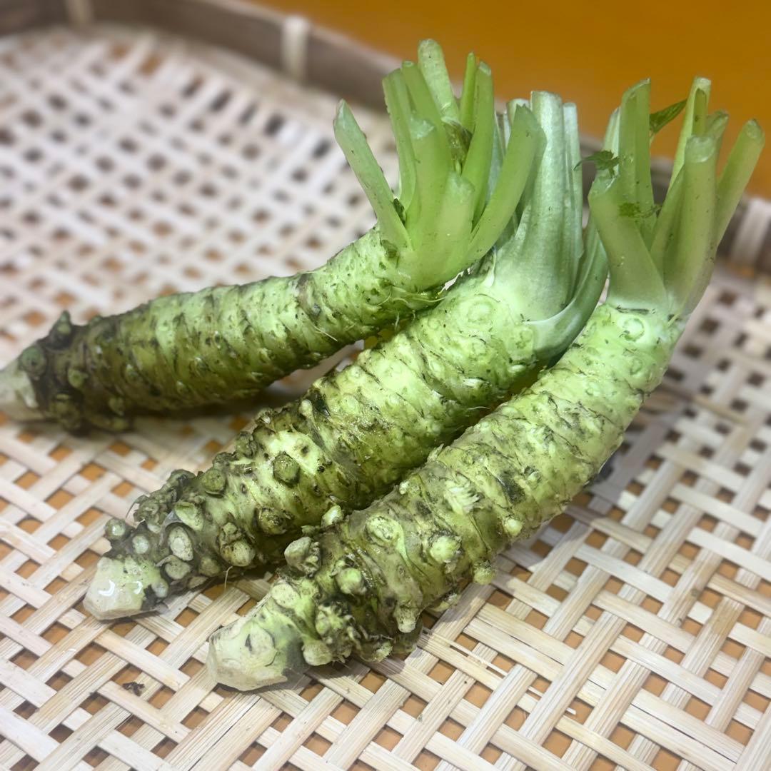 ユキ様　大10本