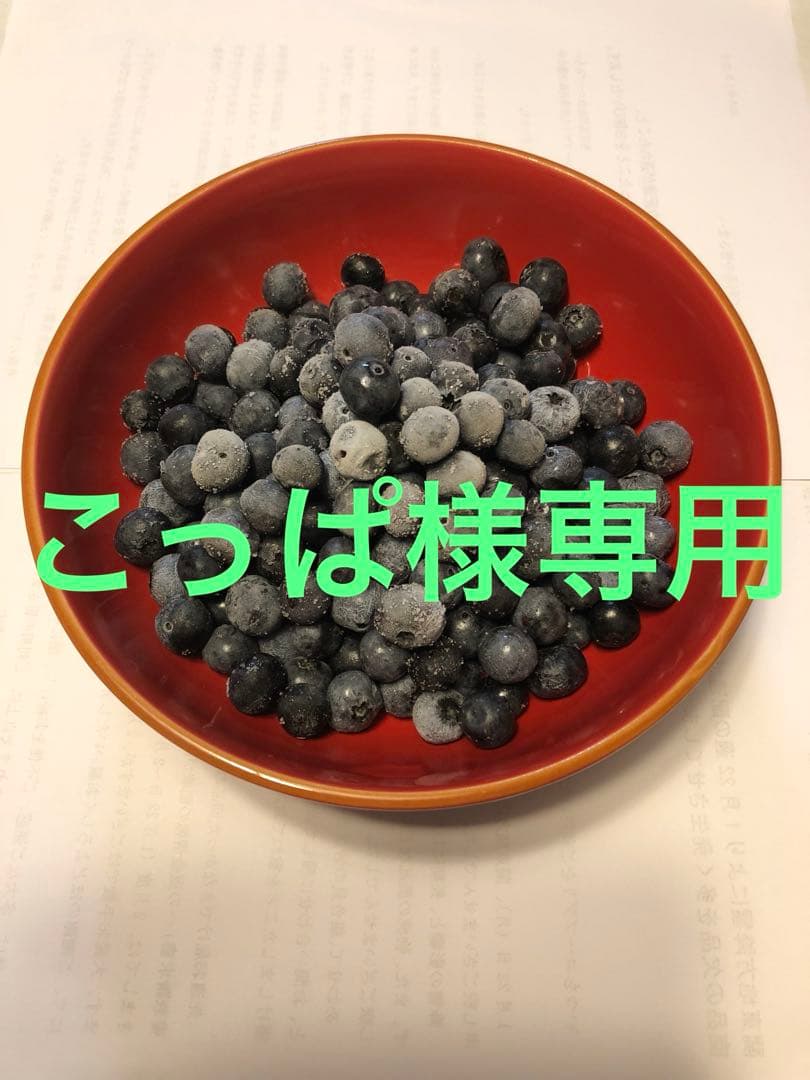 埼玉県産令和7年度冷凍ブルーベリー