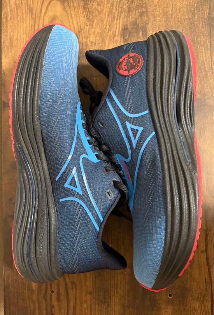 【美品】ミズノ　ウェーブライダー29 サイズ27cm